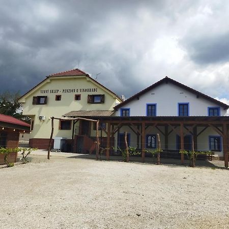 Vinny Sklep A Penzion U Vinohradu Velké Bílovice Extérieur photo