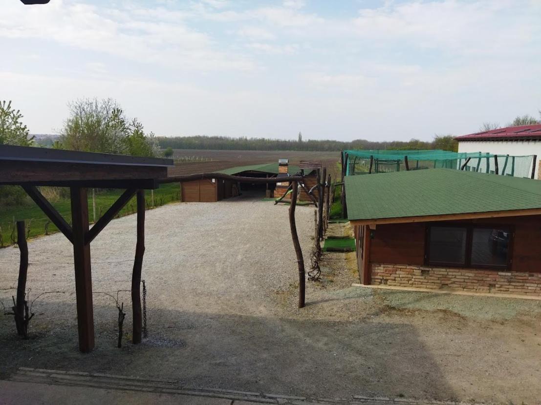 Vinny Sklep A Penzion U Vinohradu Velké Bílovice Extérieur photo